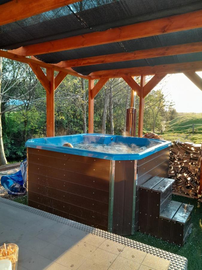 Pensjonat Agroturystyczny Pod Modrzewiem Bed & Breakfast Florczaki Ngoại thất bức ảnh