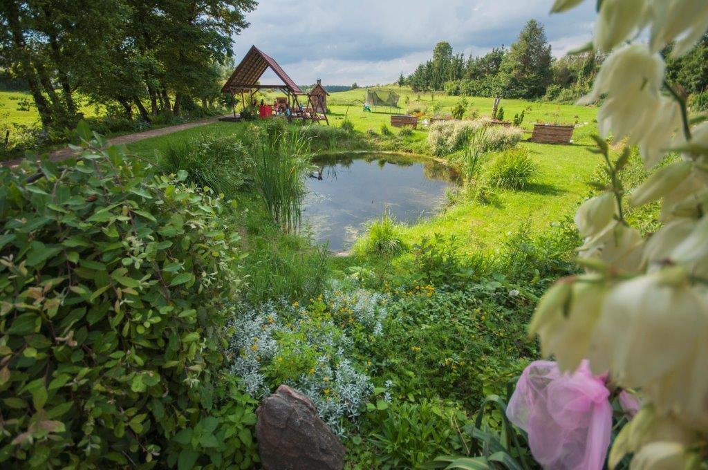Pensjonat Agroturystyczny Pod Modrzewiem Bed & Breakfast Florczaki Ngoại thất bức ảnh